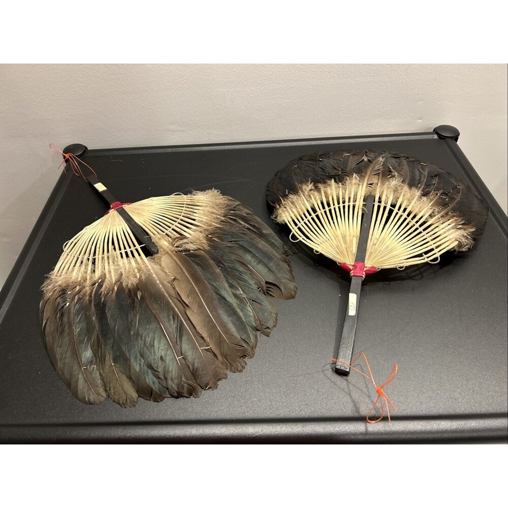 Vintage Asian Chinese Pien Mien Feather Fan Hand Fan Pair Set Of 2 Goose/duck?